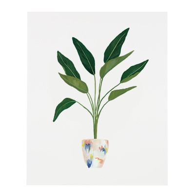 Birds of Pardise Palm House Plant Art Print Series